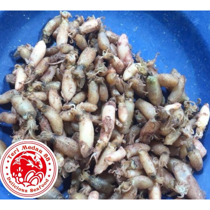 

CUMI KERING / BABY CUMI / SEAFOOD / 250GR, 500GR, 1000GR