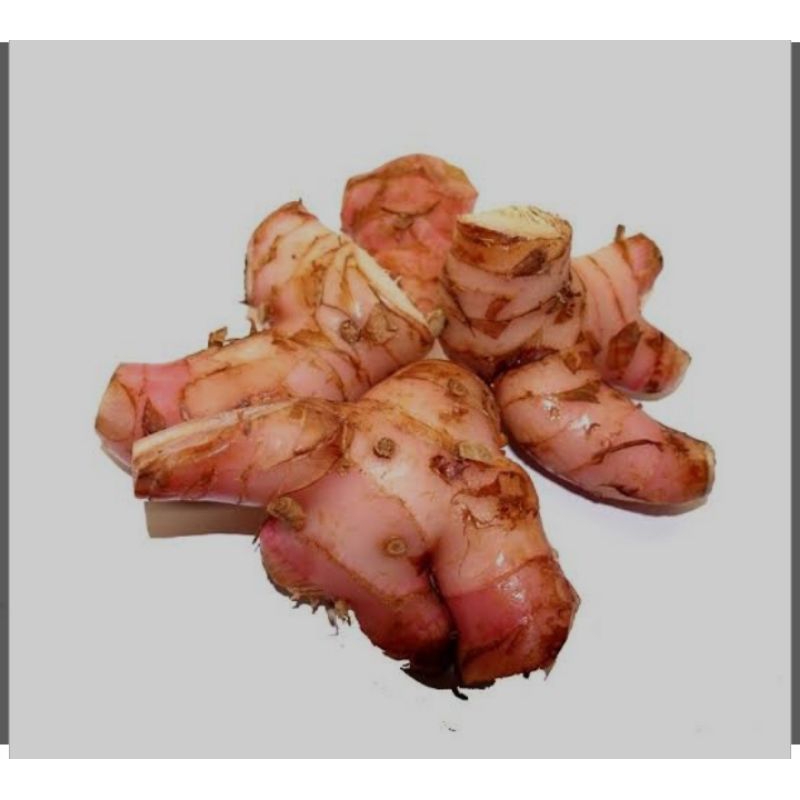 

Lengkuas Segar 500gr