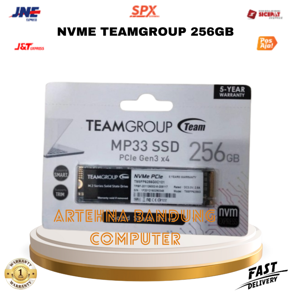 ssd nvme team group mp33 256gb m2