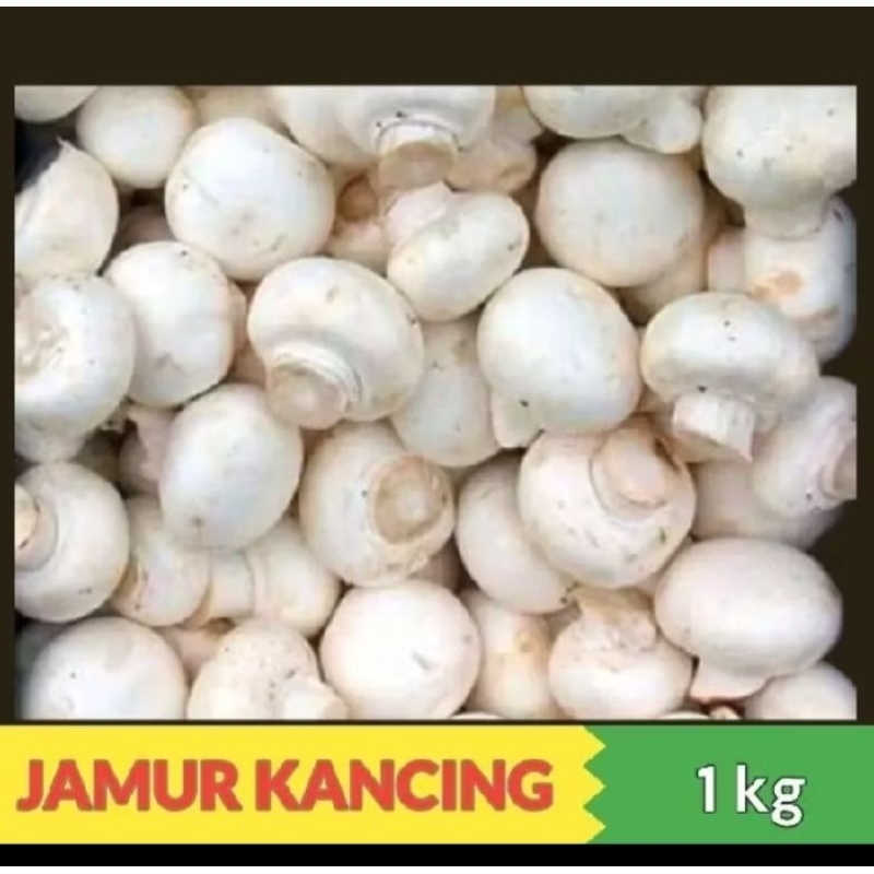 

JAMUR KANCING 1 KG FRESH