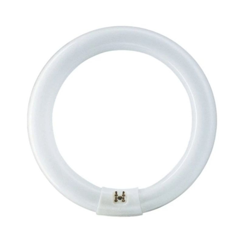PHILIPS TL Ring 22W Putih / Neon Ring TL-E Lifemax 22 Watt 765 / TL Bulat 22W PHILIPS