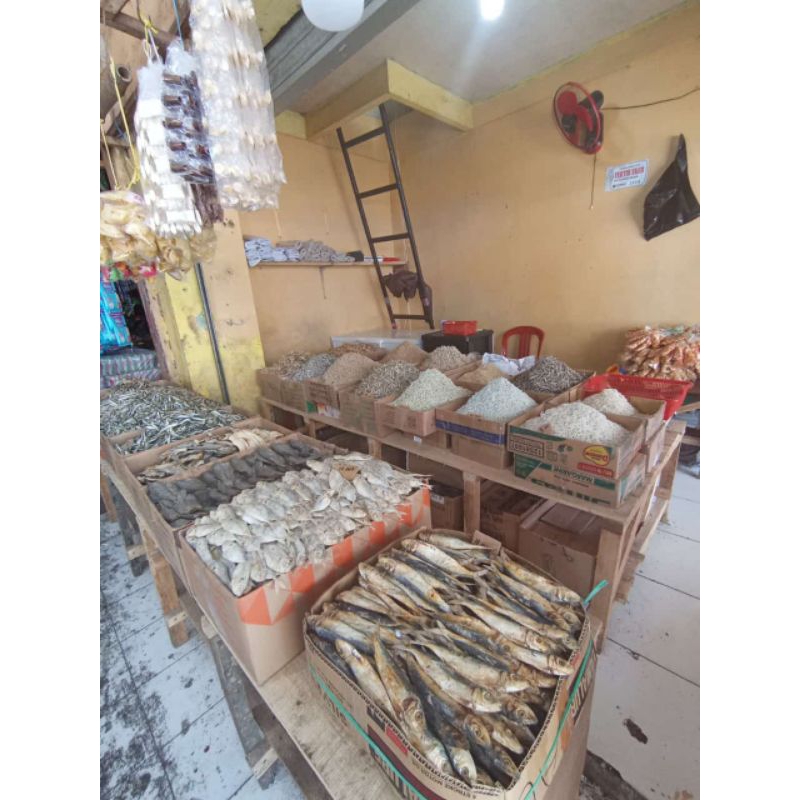 

Rebon udang kecil sedang