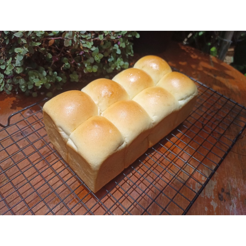 

Roti Kasur / Base untuk Milk Bun Polos - 4/6/8 kotak