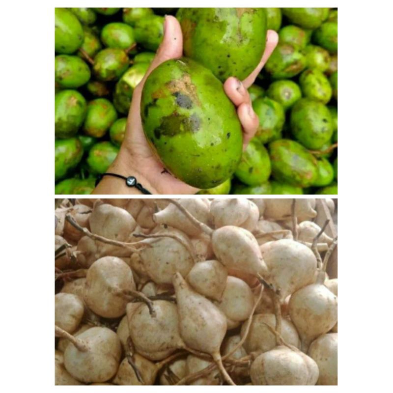 

PAKET RUJAK ISI 1KG (BANGKUANG & KEDONGDONG)