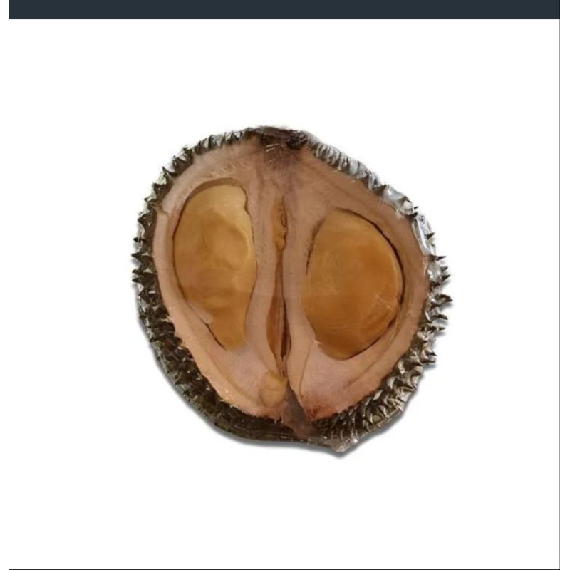

durian black thorn utuh
