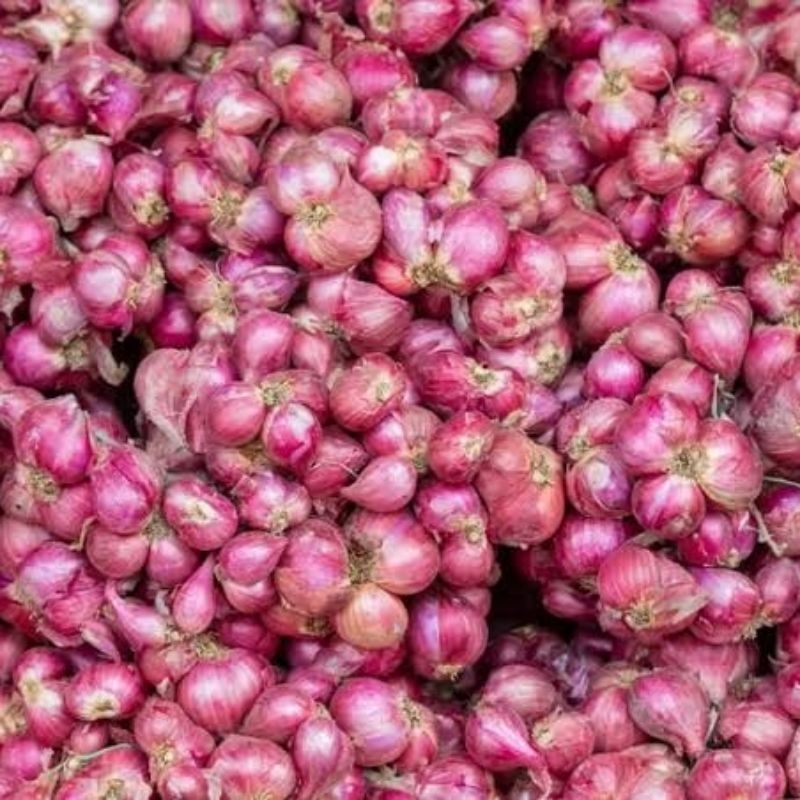 

Bawang merah kering Varietas Thailand 1 KG