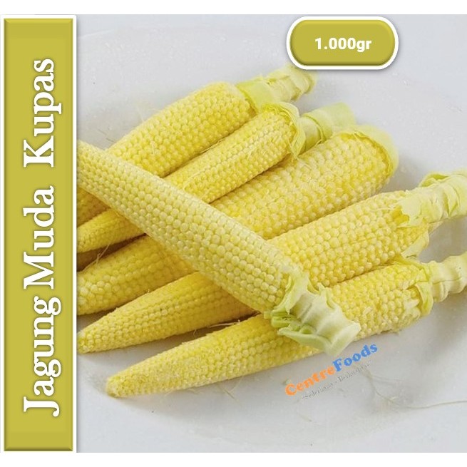 

Jagung Acar Muda Kupas - Baby Corn Fresh | 1.000gr [ Harga Per KG ]