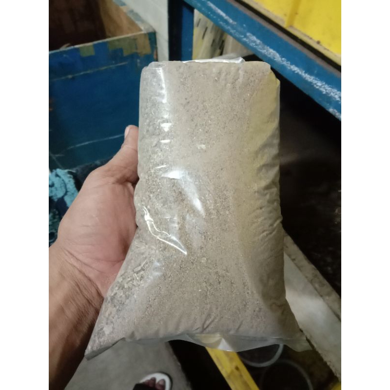 bendingan GT lele,asli kotoran kecoa batu,pengumpul ikan lele