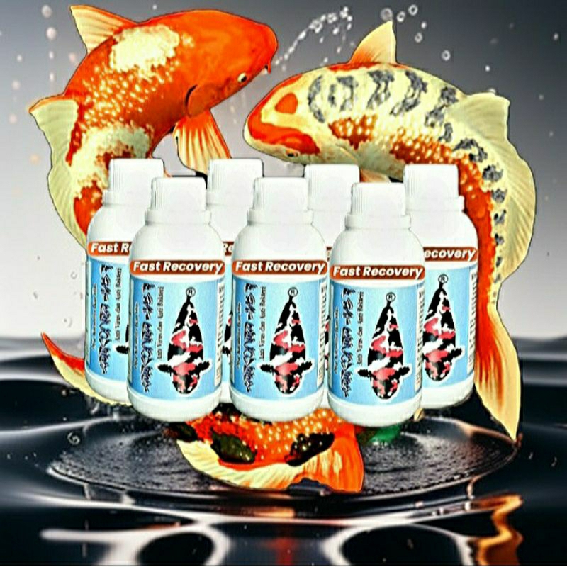 OBAT KARANTINA IKAN KOI IMPOR | FAST RECOVERY 250ML | ANTI VIRUS & ANTI BAKTERI | PEMBASMI SEGALA PE