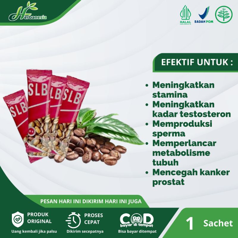 

Kopi Sehat Lahir Batin Pria Original 100% Per Sachet