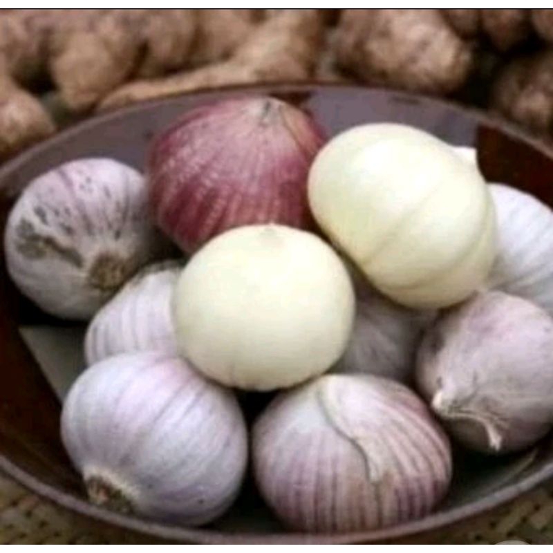 

BAWANG TUNGGAL SUPER BAWANG LANANG PREMIUM PILIHAN