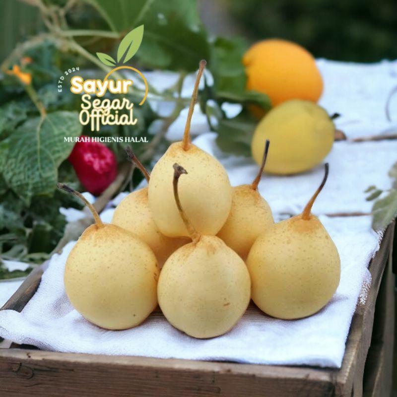 

Pear Century Impor 1kg - KIRIM INSTAN
