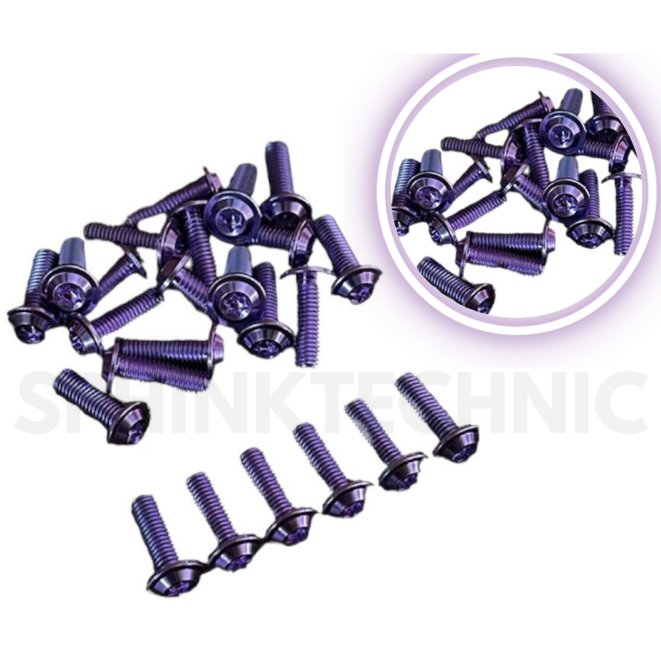Baut Disc Piringan Cakram Titanium GR5 M8 x 25 Blue Purple Original