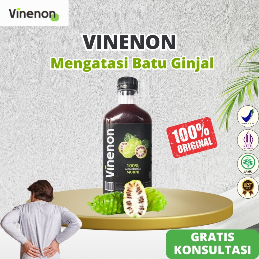 

Vinenon Cuka Mengkudu Menghancurkan Batu Ginjal Melancarkan Purin Mengobati Asam Urat Dan Kolesterol