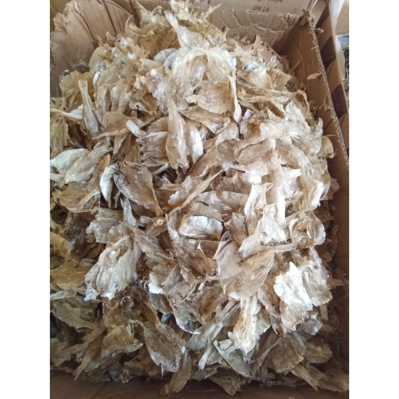 

ikan tipis 250 gram banyak ringan