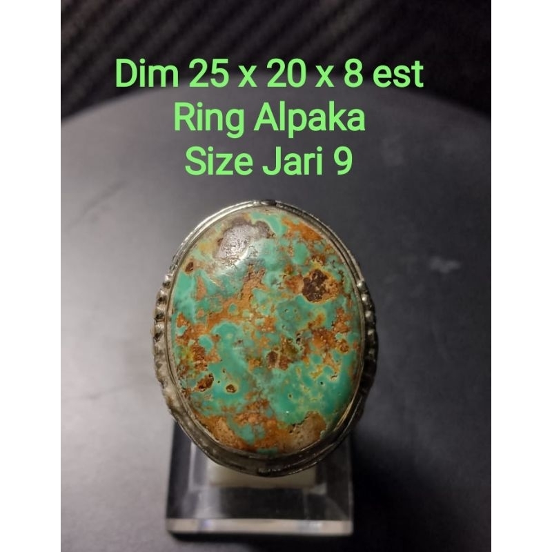 Pirus Persia Hijau Gradasi