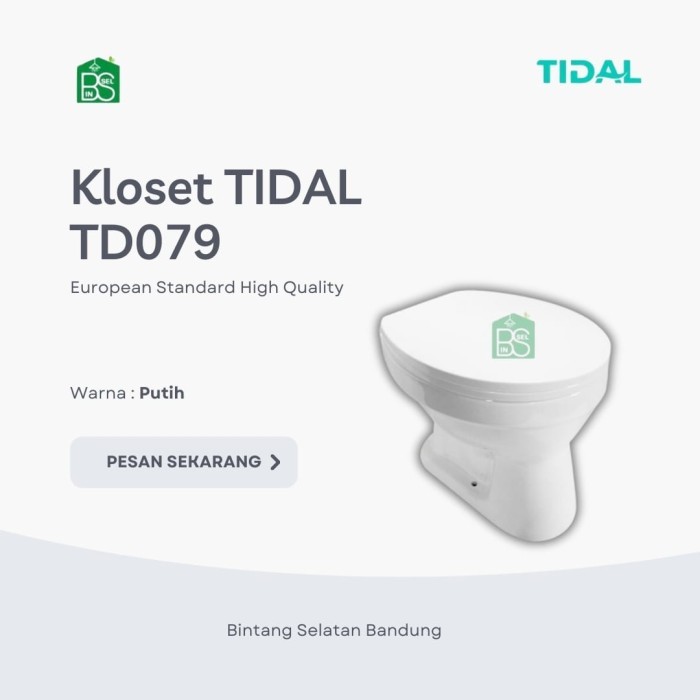 TOILET / KLOSET DUDUK SIRAM TIDAL TD079