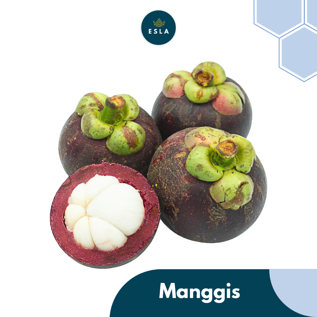 

MANGGIS 1 KG I Buah Fresh dan Premium - ESLA