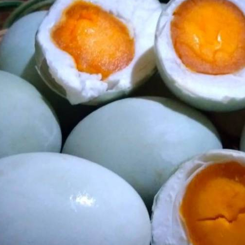 

T3lor Asin Khas Br3b3s