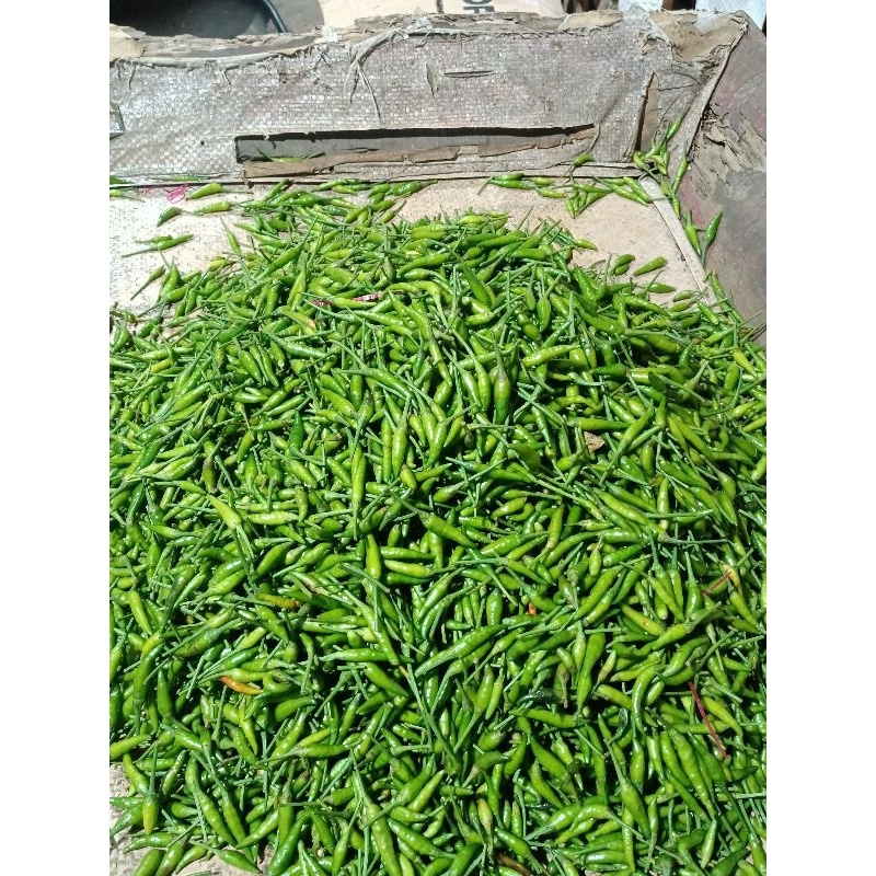 

Cabai Cabe rawit ijo harga 0,5kg/500gram