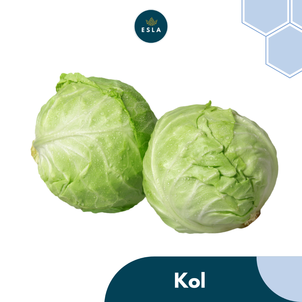 

KOL 1 kg I Sayur Fresh dan Premium - ESLA