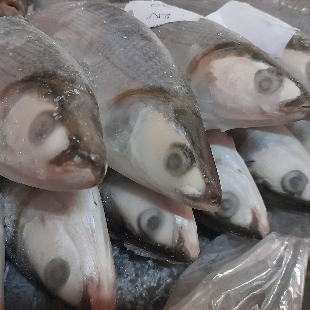 

Beku Foods Ikan Bandeng Tarakan Isi 3-5 Ekor/Kg 1Kg