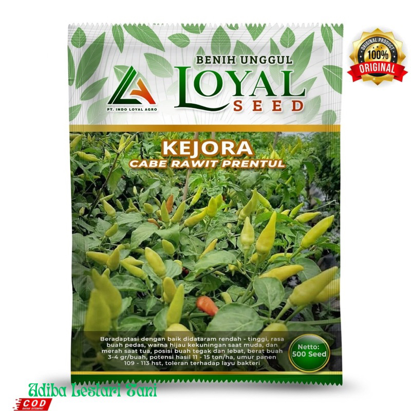 Benih Cabe Rawit Prentul Putih Kejora Isi 500 Butir - Cap Loyal Seed