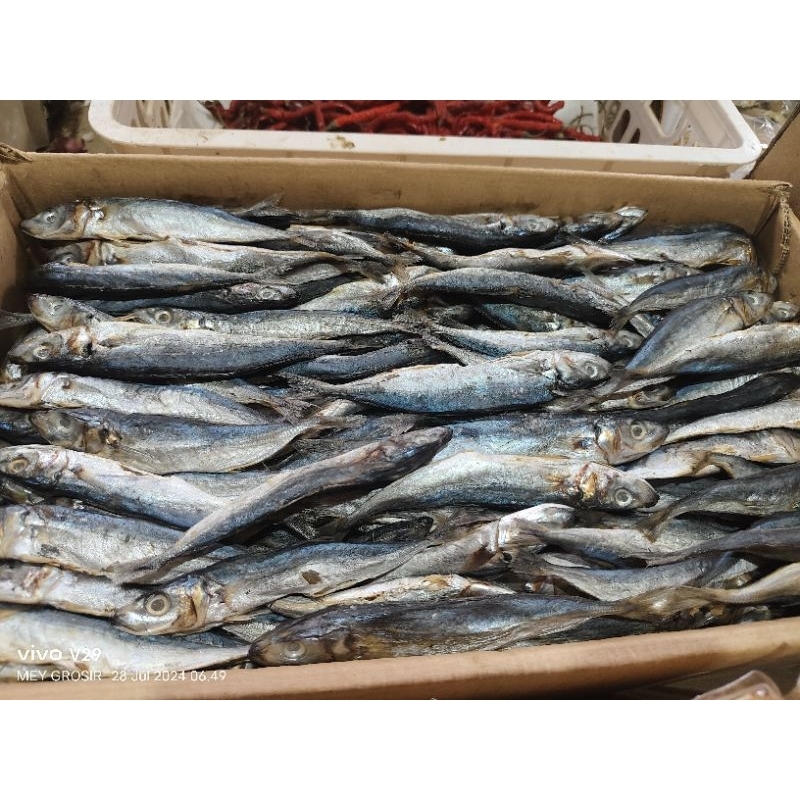 

GEREH / IKAN ASIN 1 KG