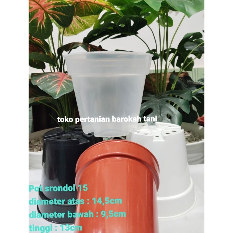(1pcs) POT SRONDOL 15 model polos tinggi srondol