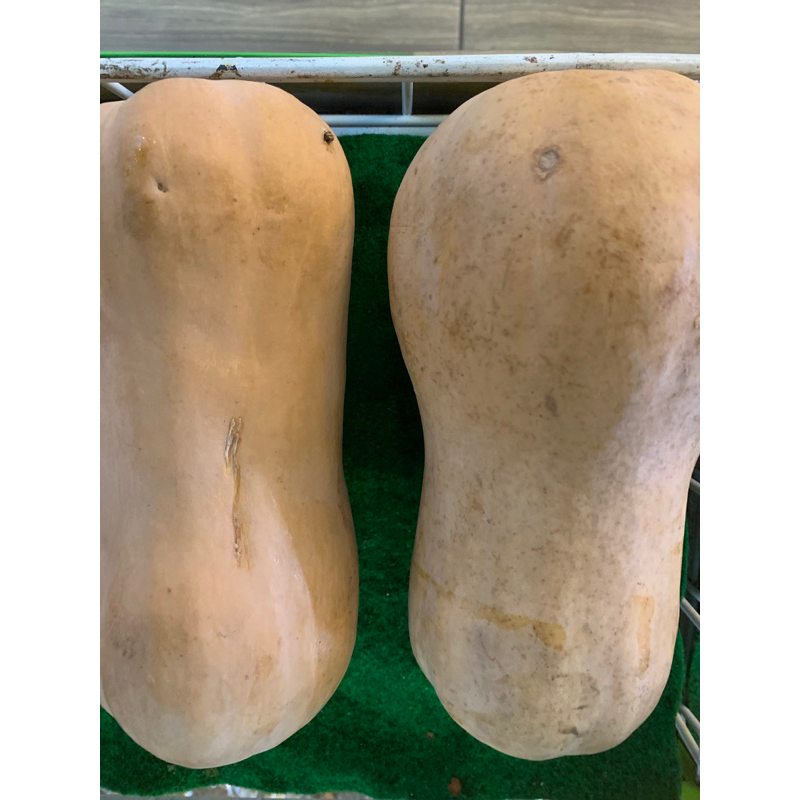 

butternut