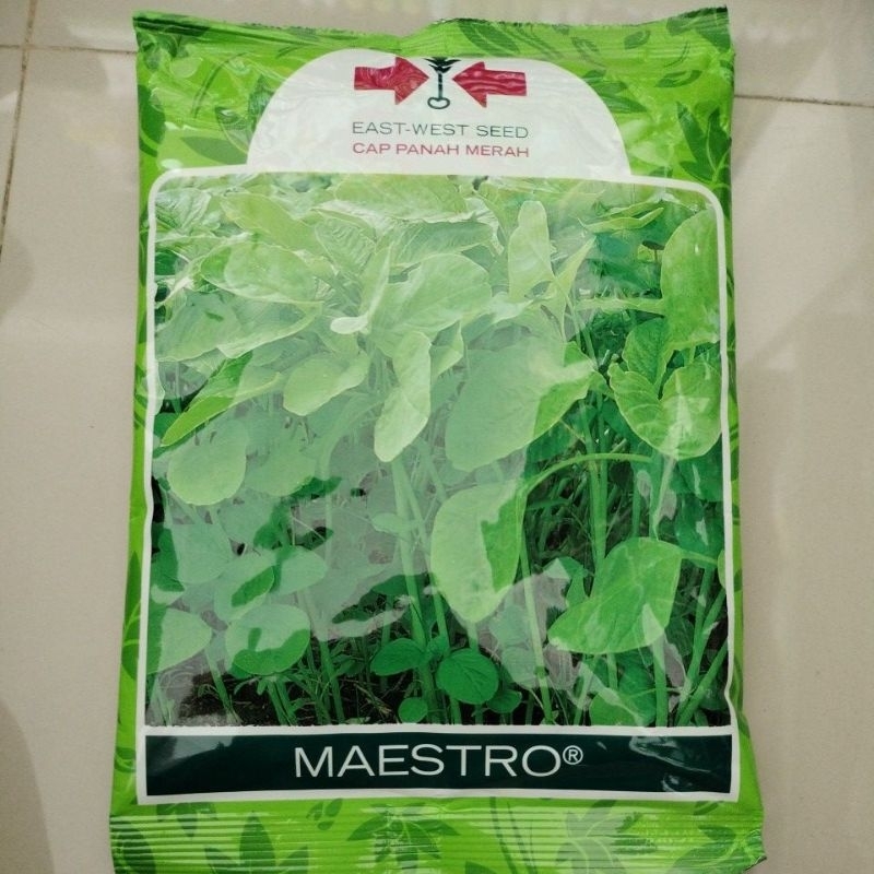 

BAYAM MAESTRO 550 GRAM