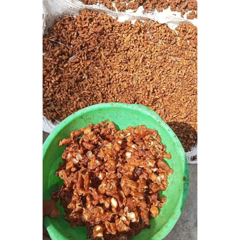 

Asem Jawa Tanpa Biji 15 Ribu perkemasan Dijamin FRESH