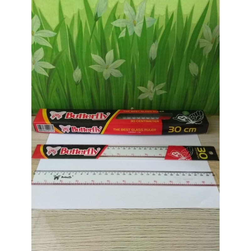 

Penggaris Butterfly 30cm