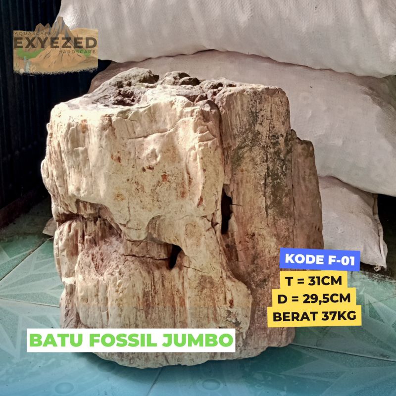 Batu Fosil Jumbo / Batu Fosil Besar untuk taman