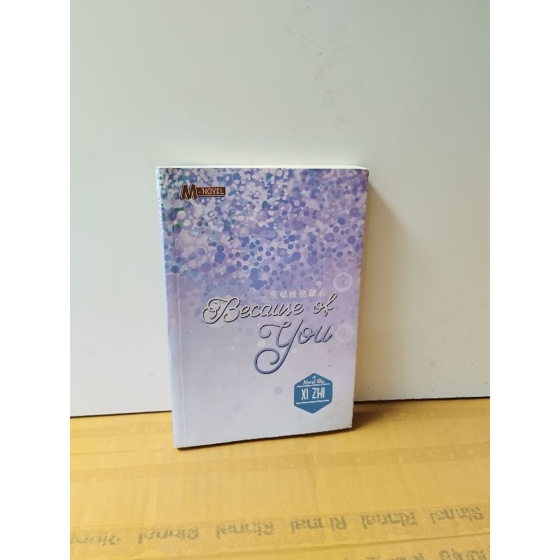 original novel Because Of You by xi zhi