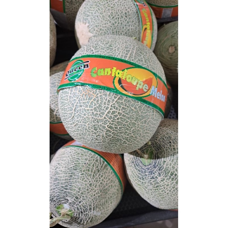 

Melon Cantalope Daging Oren / Utuh