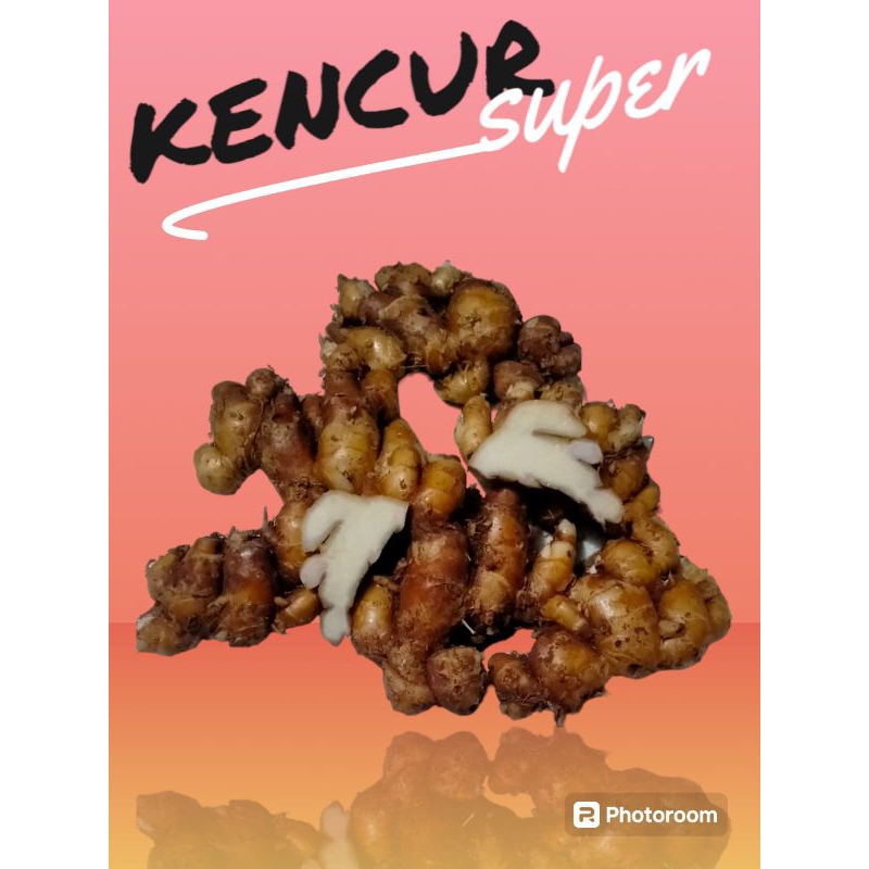

KENCUR FULLTUA SUPER BESAR 1KG FRESH