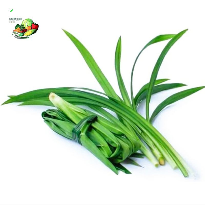 

daun pandan hijau, fresh - 100gr