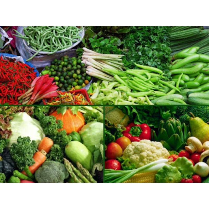 

Sayur sayuran segar 200g pasar pagi flamboyan