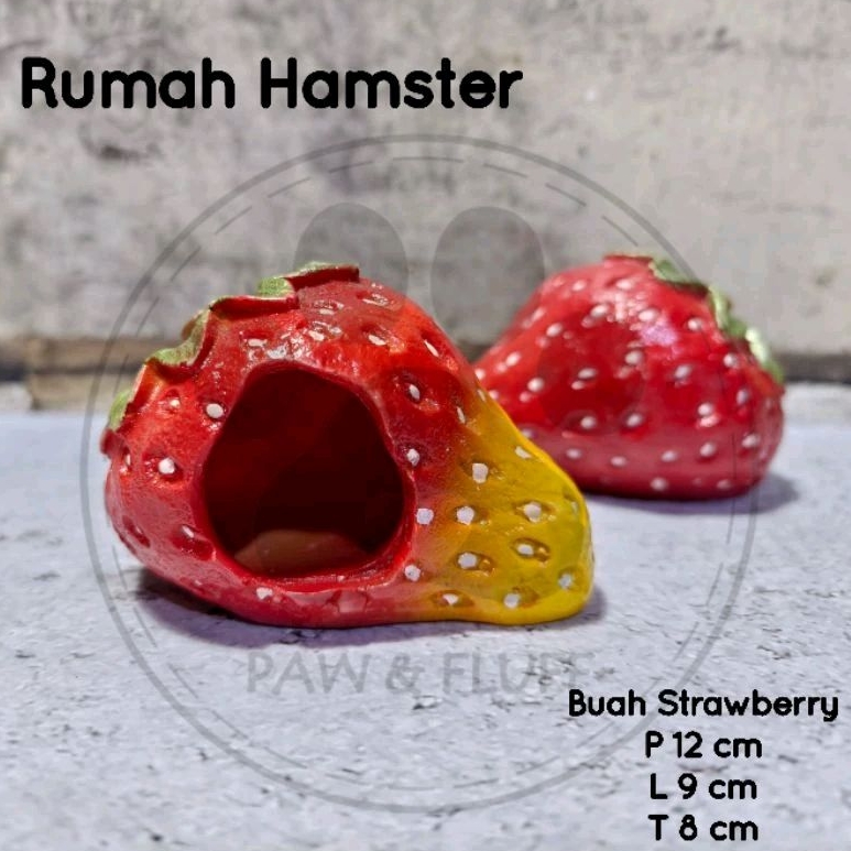 Rumah Hamster Strawberry