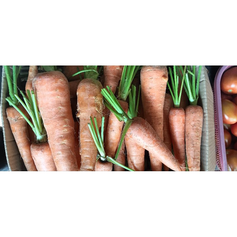 

wortel 1kg