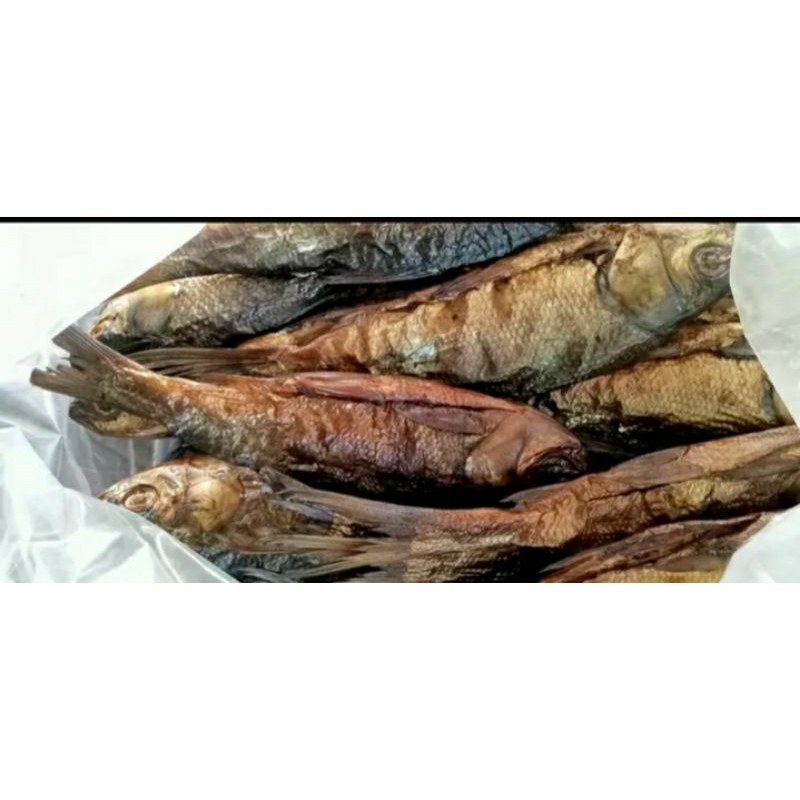 

salai motan 1kg