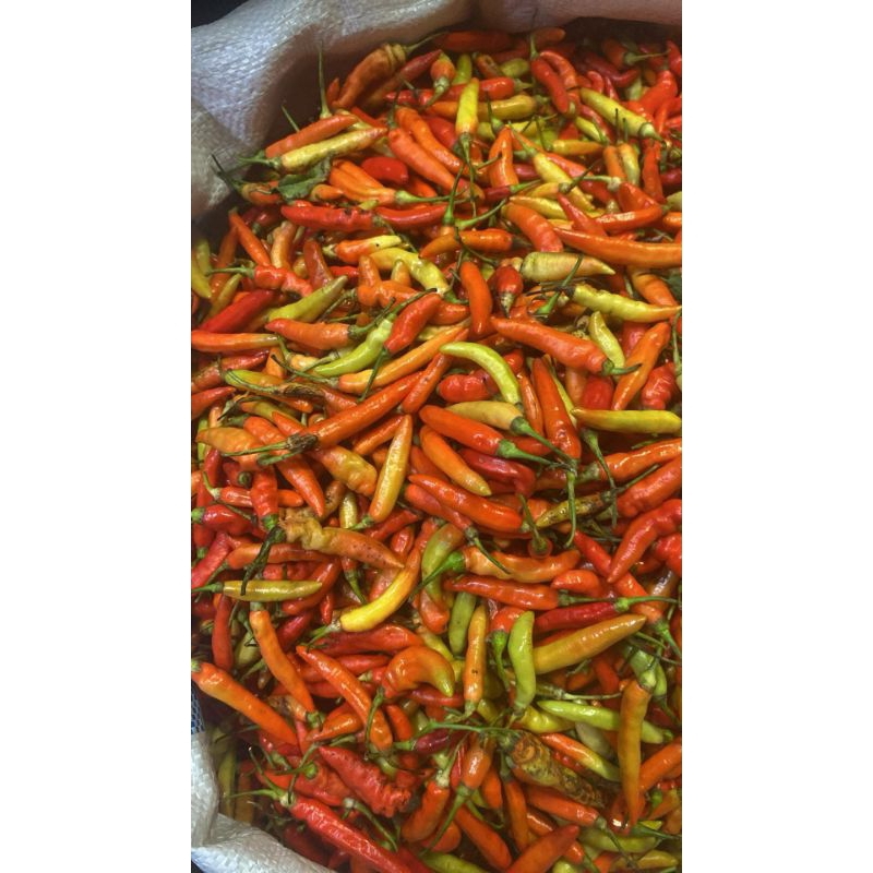 

cabe rawit 1kg