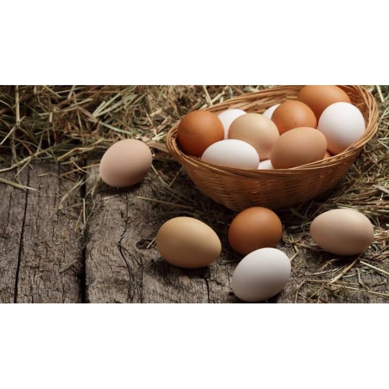 

telur ayam negeri