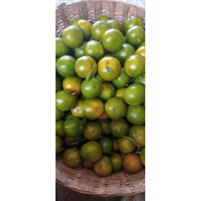 

jeruk Siem 1kg Rp11000
