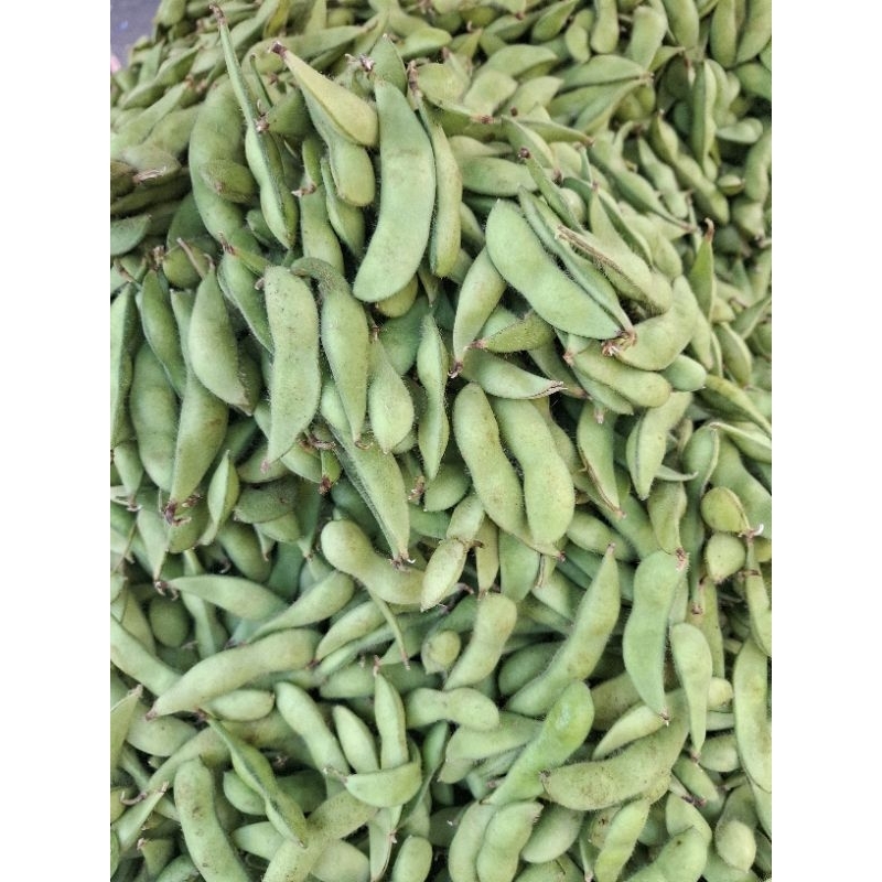 

Edamame Segar
