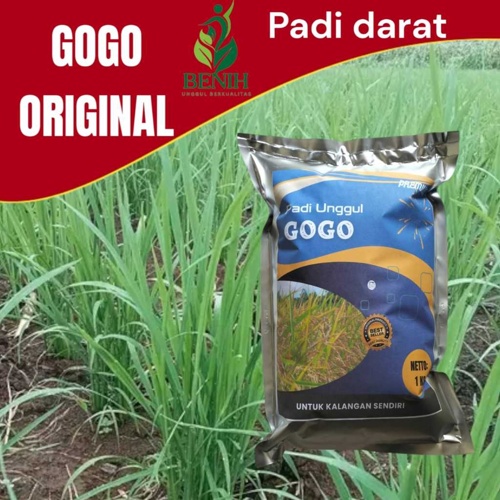 Benih Padi Bibit Padi GOGO original Kemasan 1Kg