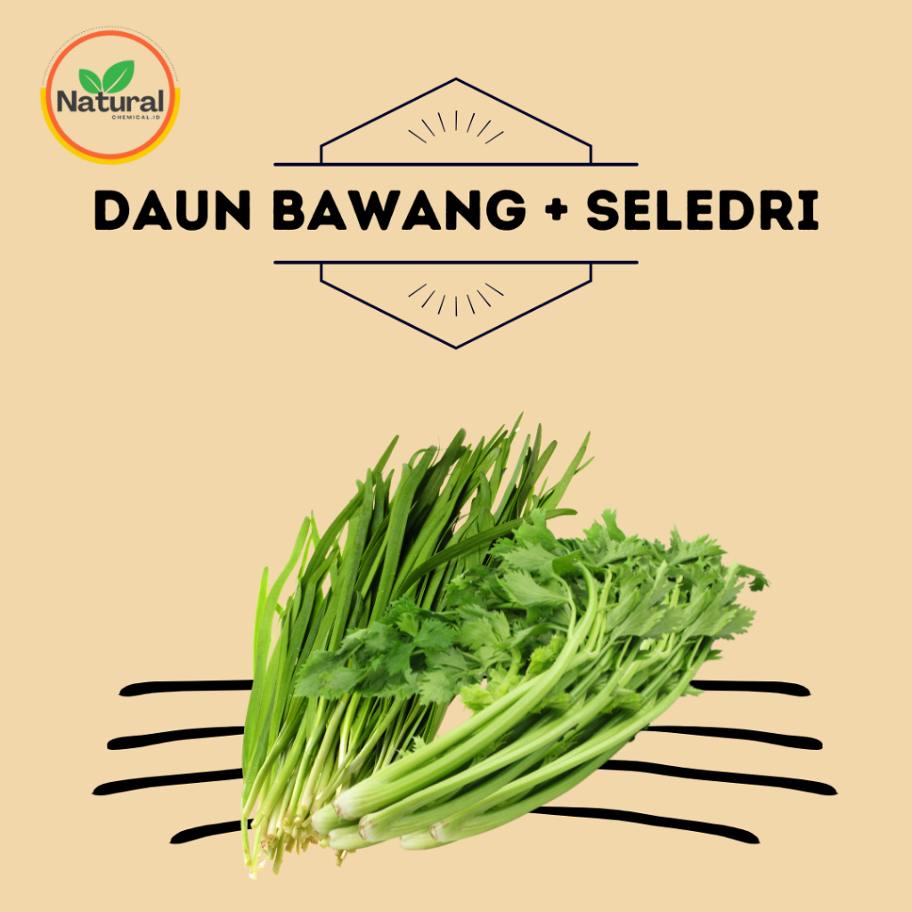 

DAUN BAWANG DAN SELEDRI 1 KG FRESH BEST QUALITY