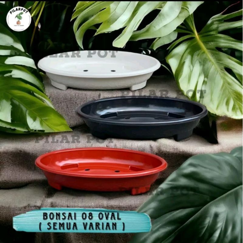 POT BONSAI OV 8, POT BONSAI OVAL