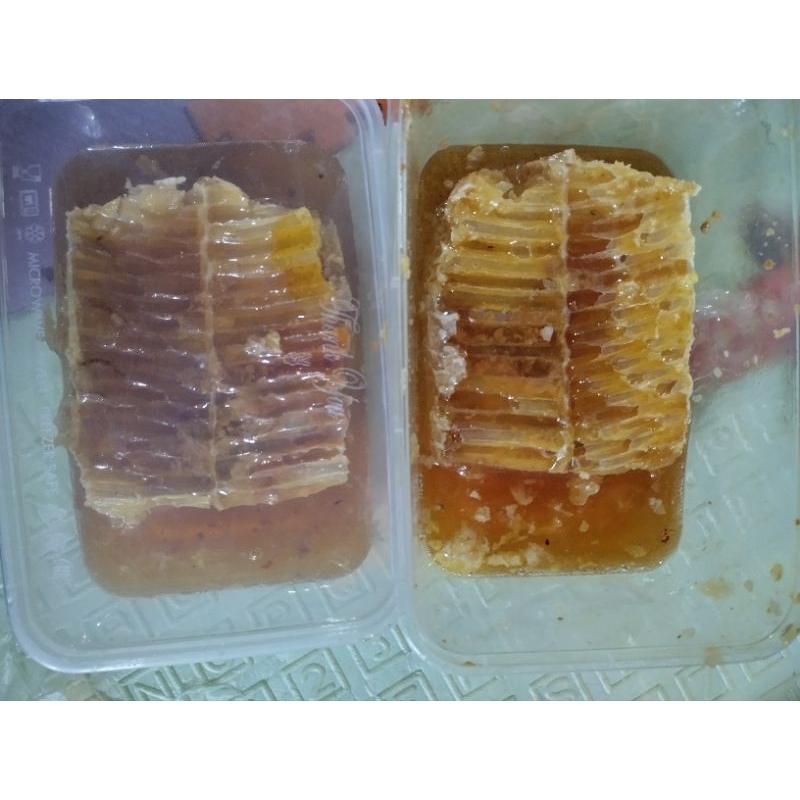 

Madu Sarang Asli